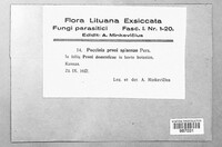 Image Associated With the Occurrence